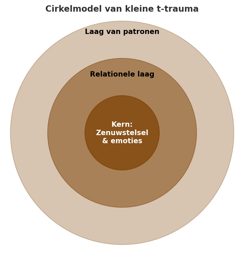 Kleine t-trauma cirkelmodel