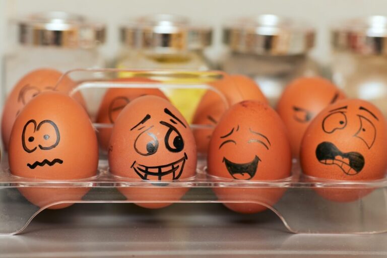 Eieren in een doosje met op ieder ei een gezichtsuitdrukking getekend. Emoties drukken zich uit in het lichaam en zijn herkenbaar aan de gezichtsuitdrukking.